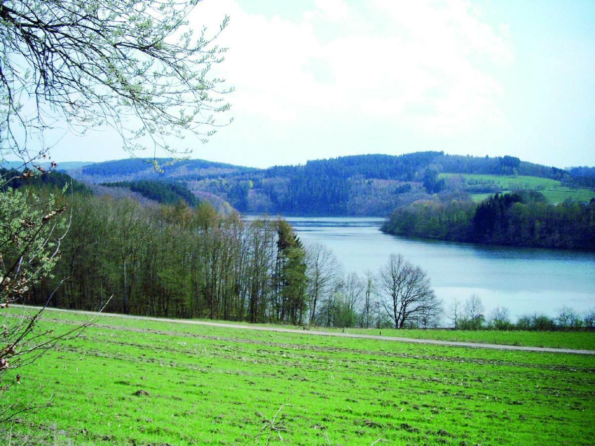 Ferienwohnung Am Sorpesee Allendorf  Exterior foto